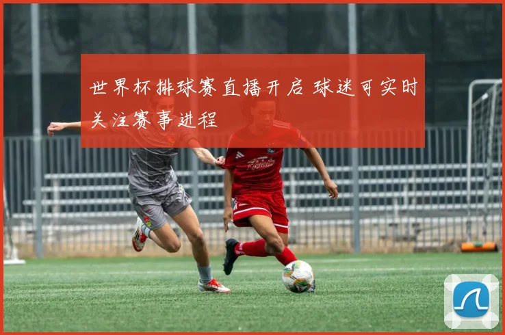世界杯排球赛直播开启 球迷可实时关注赛事进程